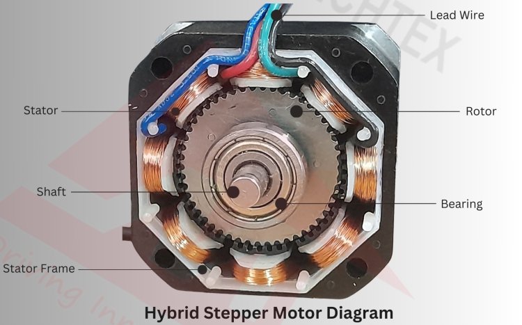Hybrid Stepper Motor Diagram