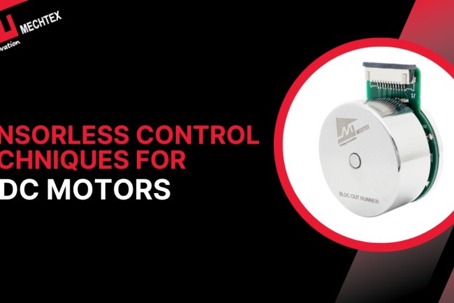 Sensorless Control Techniques for BLDC Motors