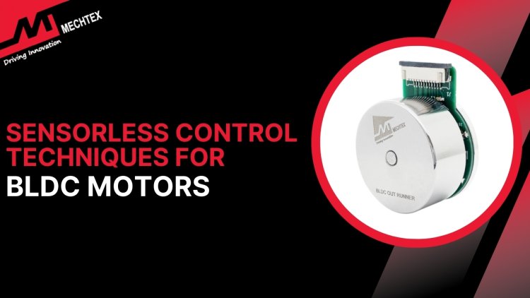 Sensorless Control Techniques for BLDC Motors