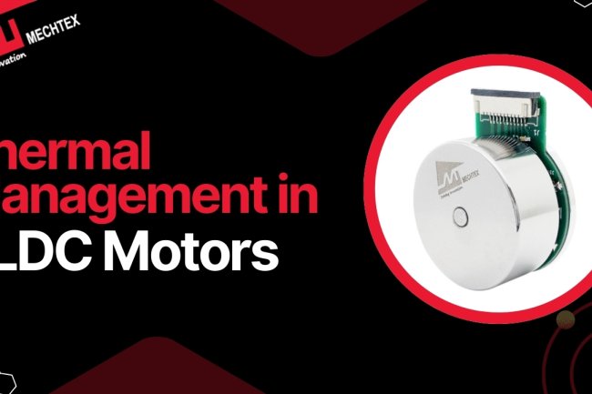 Thermal Management in BLDC Motors