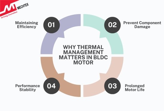 Why Thermal Management Matters in BLDC Motor