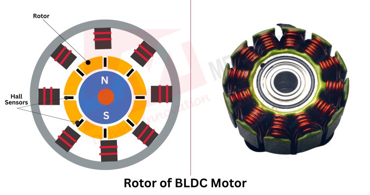 Rotor of BLDC Motor