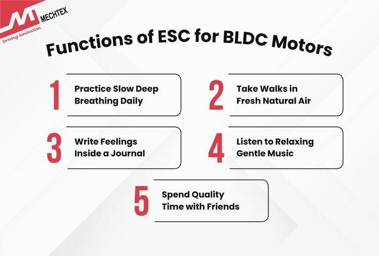 Key Functions of Electronic Speed Controller (ESC) for BLDC Motors